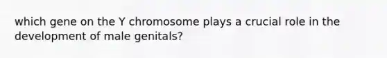 which gene on the Y chromosome plays a crucial role in the development of male genitals?