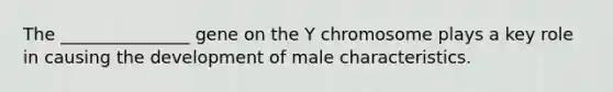 The _______________ gene on the Y chromosome plays a key role in causing the development of male characteristics.