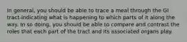 In general, you should be able to trace a meal through the GI tract-indicating what is happening to which parts of it along the way. In so doing, you should be able to compare and contrast the roles that each part of the tract and its associated organs play.