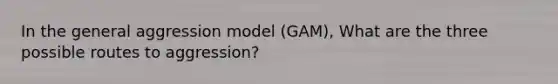 In the general aggression model (GAM), What are the three possible routes to aggression?