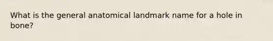 What is the general anatomical landmark name for a hole in bone?