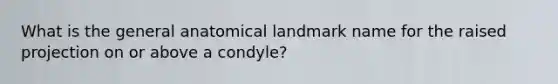 What is the general anatomical landmark name for the raised projection on or above a condyle?