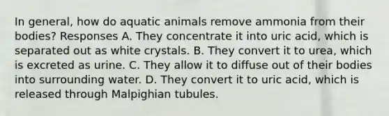 In general, how do aquatic animals remove ammonia from their bodies? Responses A. They concentrate it into uric acid, which is separated out as white crystals. B. They convert it to urea, which is excreted as urine. C. They allow it to diffuse out of their bodies into surrounding water. D. They convert it to uric acid, which is released through Malpighian tubules.