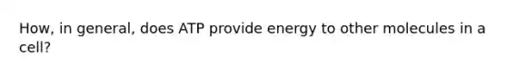 How, in general, does ATP provide energy to other molecules in a cell?