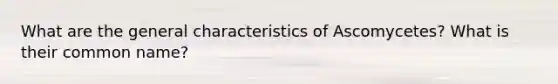 What are the general characteristics of Ascomycetes? What is their common name?