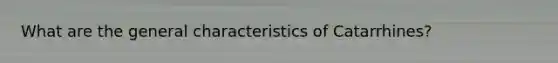 What are the general characteristics of Catarrhines?