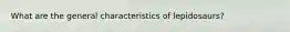What are the general characteristics of lepidosaurs?