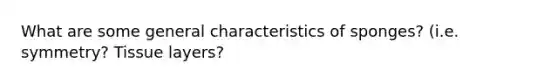 What are some general characteristics of sponges? (i.e. symmetry? Tissue layers?