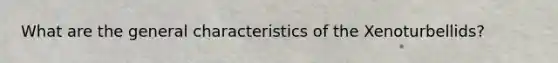 What are the general characteristics of the Xenoturbellids?