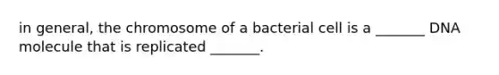 in general, the chromosome of a bacterial cell is a _______ DNA molecule that is replicated _______.