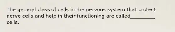 The general class of cells in the nervous system that protect nerve cells and help in their functioning are called__________ cells.