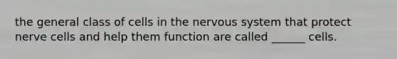 the general class of cells in the nervous system that protect nerve cells and help them function are called ______ cells.