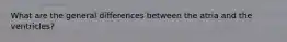 What are the general differences between the atria and the ventricles?