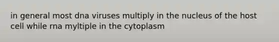 in general most dna viruses multiply in the nucleus of the host cell while rna myltiple in the cytoplasm