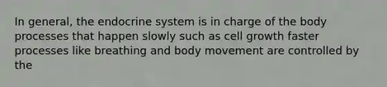 In general, the endocrine system is in charge of the body processes that happen slowly such as cell growth faster processes like breathing and body movement are controlled by the