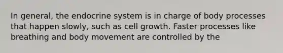 In general, the endocrine system is in charge of body processes that happen slowly, such as cell growth. Faster processes like breathing and body movement are controlled by the