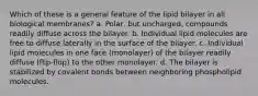 Which of these is a general feature of the lipid bilayer in all biological membranes? a. Polar, but uncharged, compounds readily diffuse across the bilayer. b. Individual lipid molecules are free to diffuse laterally in the surface of the bilayer. c. Individual lipid molecules in one face (monolayer) of the bilayer readily diffuse (flip-flop) to the other monolayer. d. The bilayer is stabilized by covalent bonds between neighboring phospholipid molecules.