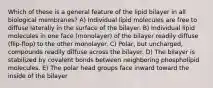 Which of these is a general feature of the lipid bilayer in all biological membranes? A) Individual lipid molecules are free to diffuse laterally in the surface of the bilayer. B) Individual lipid molecules in one face (monolayer) of the bilayer readily diffuse (flip-flop) to the other monolayer. C) Polar, but uncharged, compounds readily diffuse across the bilayer. D) The bilayer is stabilized by covalent bonds between neighboring phospholipid molecules. E) The polar head groups face inward toward the inside of the bilayer