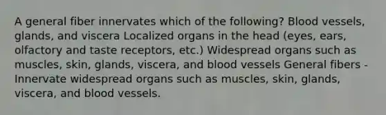 A general fiber innervates which of the following? Blood vessels, glands, and viscera Localized organs in the head (eyes, ears, olfactory and taste receptors, etc.) Widespread organs such as muscles, skin, glands, viscera, and blood vessels General fibers - Innervate widespread organs such as muscles, skin, glands, viscera, and blood vessels.