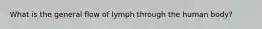 What is the general flow of lymph through the human body?