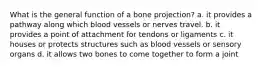 What is the general function of a bone projection? a. it provides a pathway along which blood vessels or nerves travel. b. it provides a point of attachment for tendons or ligaments c. it houses or protects structures such as blood vessels or sensory organs d. it allows two bones to come together to form a joint