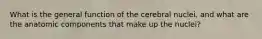What is the general function of the cerebral nuclei, and what are the anatomic components that make up the nuclei?