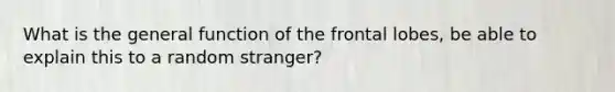 What is the general function of the frontal lobes, be able to explain this to a random stranger?