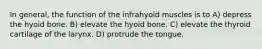 In general, the function of the infrahyoid muscles is to A) depress the hyoid bone. B) elevate the hyoid bone. C) elevate the thyroid cartilage of the larynx. D) protrude the tongue.