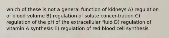 which of these is not a general function of kidneys A) regulation of blood volume B) regulation of solute concentration C) regulation of the pH of the extracellular fluid D) regulation of vitamin A synthesis E) regulation of red blood cell synthesis