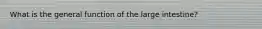What is the general function of the large intestine?