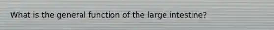 What is the general function of the large intestine?