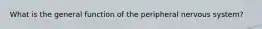 What is the general function of the peripheral nervous system?