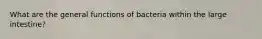 What are the general functions of bacteria within the large intestine?