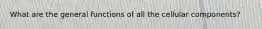 What are the general functions of all the cellular components?