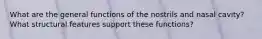 What are the general functions of the nostrils and nasal cavity? What structural features support these functions?