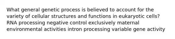 What general genetic process is believed to account for the variety of cellular structures and functions in eukaryotic cells? RNA processing negative control exclusively maternal environmental activities intron processing variable gene activity