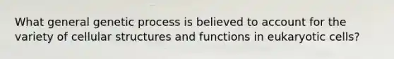 What general genetic process is believed to account for the variety of cellular structures and functions in eukaryotic cells?