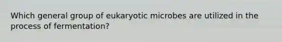 Which general group of eukaryotic microbes are utilized in the process of fermentation?