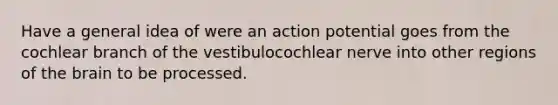 Have a general idea of were an action potential goes from the cochlear branch of the vestibulocochlear nerve into other regions of the brain to be processed.