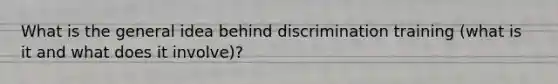 What is the general idea behind discrimination training (what is it and what does it involve)?