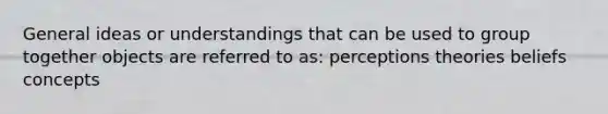 General ideas or understandings that can be used to group together objects are referred to as: perceptions theories beliefs concepts