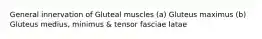 General innervation of Gluteal muscles (a) Gluteus maximus (b) Gluteus medius, minimus & tensor fasciae latae