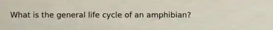 What is the general life cycle of an amphibian?