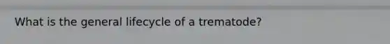 What is the general lifecycle of a trematode?