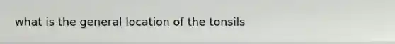 what is the general location of the tonsils