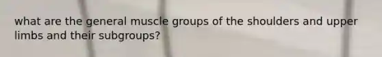 what are the general muscle groups of the shoulders and <a href='https://www.questionai.com/knowledge/kJyXBSF4I2-upper-limb' class='anchor-knowledge'>upper limb</a>s and their subgroups?