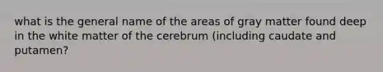 what is the general name of the areas of gray matter found deep in the white matter of the cerebrum (including caudate and putamen?