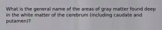 What is the general name of the areas of gray matter found deep in the white matter of the cerebrum (including caudate and putamen)?