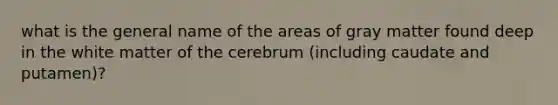 what is the general name of the areas of gray matter found deep in the white matter of the cerebrum (including caudate and putamen)?