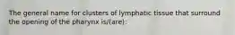 The general name for clusters of lymphatic tissue that surround the opening of the pharynx is/(are):